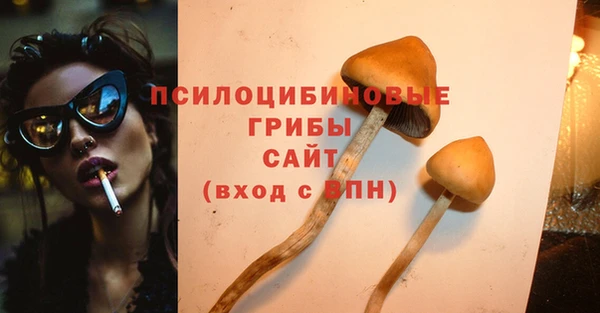стафф Армянск