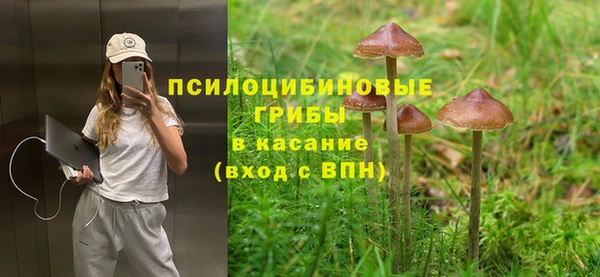 прущие крисы Аркадак