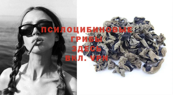 прущие крисы Аркадак