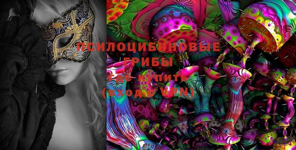 стафф Армянск