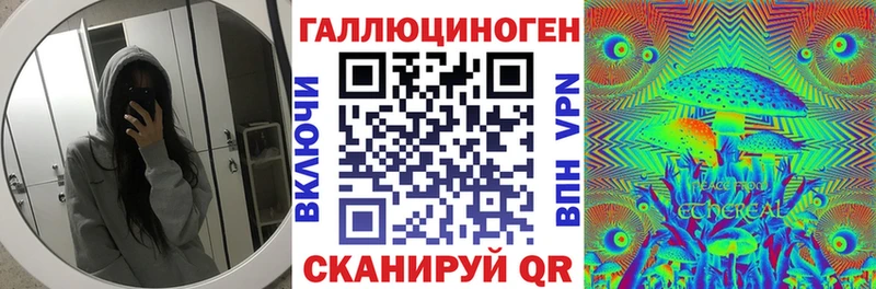 Купить  Сураж  Галлюциногенные грибы мухоморы 
