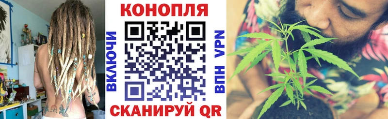 Купить  Сураж  Канабис тримм 